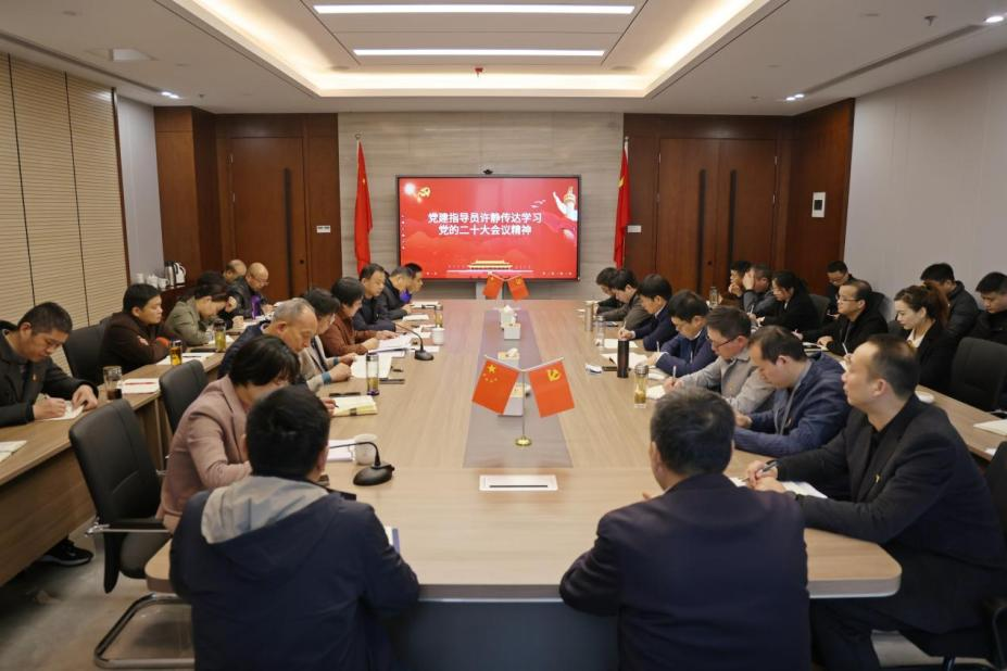 集团党委组织召开联合支部会议 党建指导员许静传达学习党的二十大会议精神