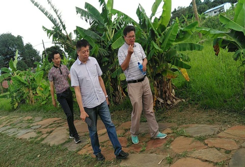Counsellor Lai Bo and Director Zhao Min from the Chinese Embassy in Zambia visited the farm to conduct research on work