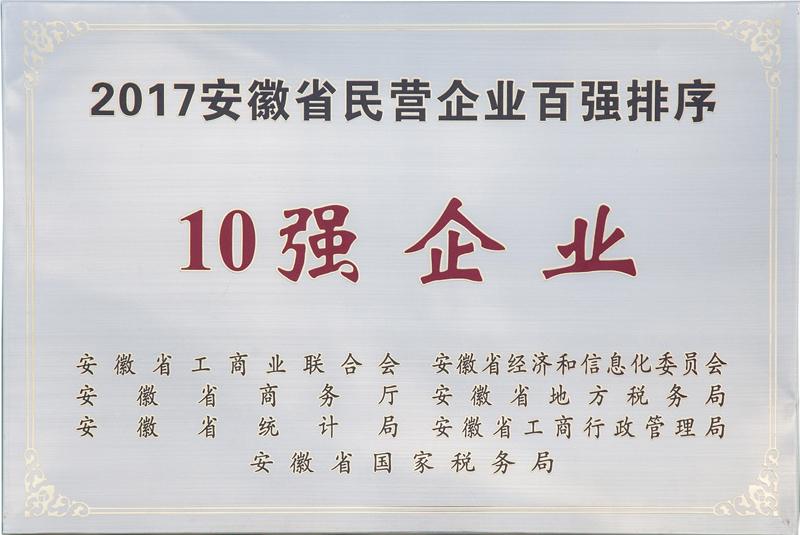 华力集团荣膺“2017安徽省民营企业百强排序10强企业”
