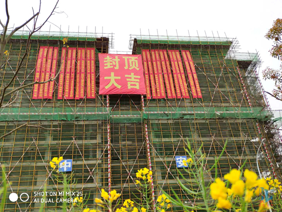 1585549266870543.jpg 图片1副本.jpg