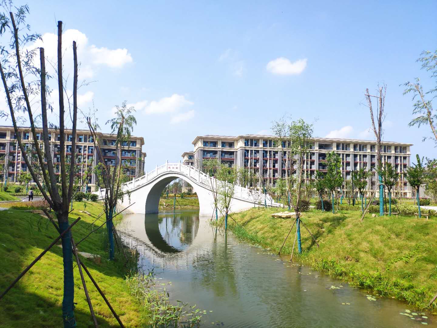 1598955861291202.jpg 1598955861291202.jpg