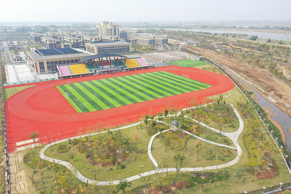 1605257094475294.jpg 1605257094475294.jpg