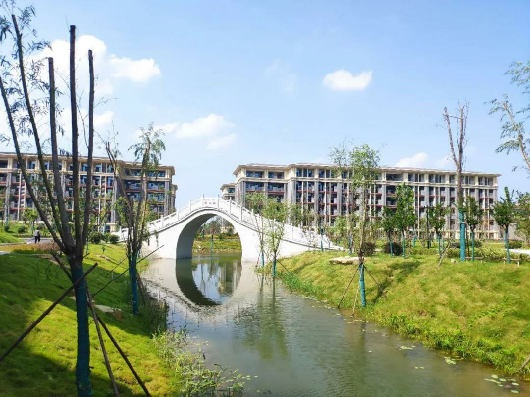 1605257125879798.png 1605257125879798.png