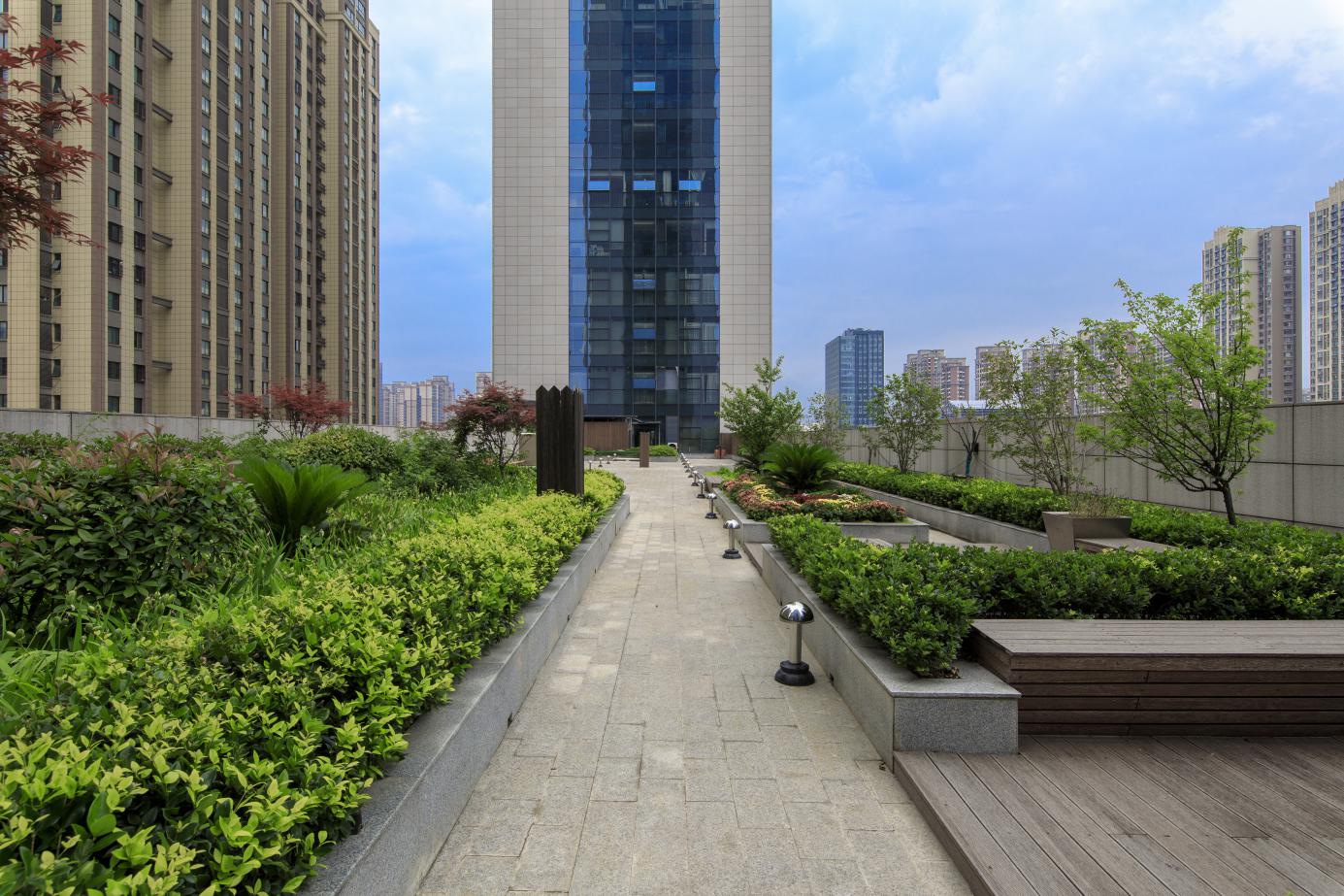 1614050122479925.jpeg 1614050122479925.jpeg