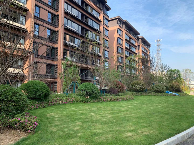 1619343312261016.jpg 9771cbb2ff7bbcb95940ee8c5d9be83.jpg